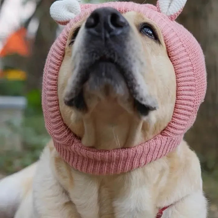 Yellow dog wearing a light pink knitted ear muff hood with white ears, shown outdoors close-up