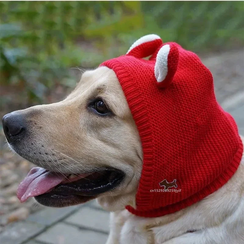 Yellow dog wearing a bright red knitted ear muff hood with small white-trimmed ears, shown outdoors