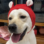 Light-colored dog wearing a red knitted ear muff hat with white ear details, close-up front view