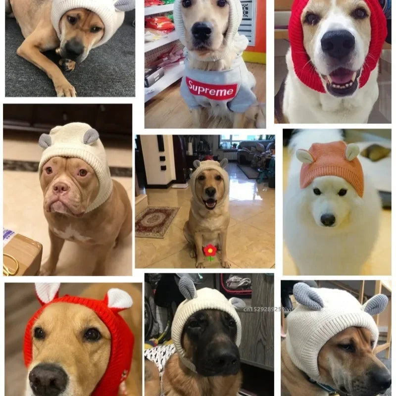 Collage of dogs wearing knitted ear muffs in white, red, and orange, shown indoors from the front